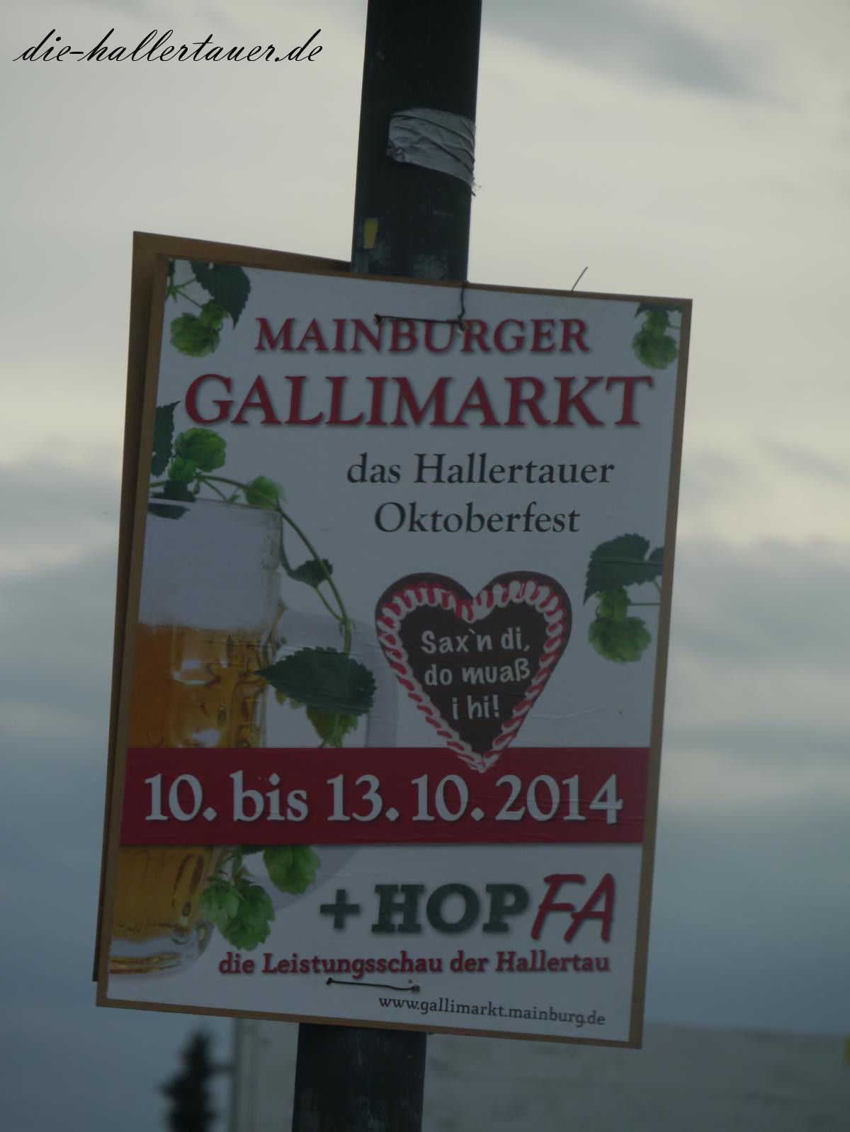 Mainburger Gallimarkt
