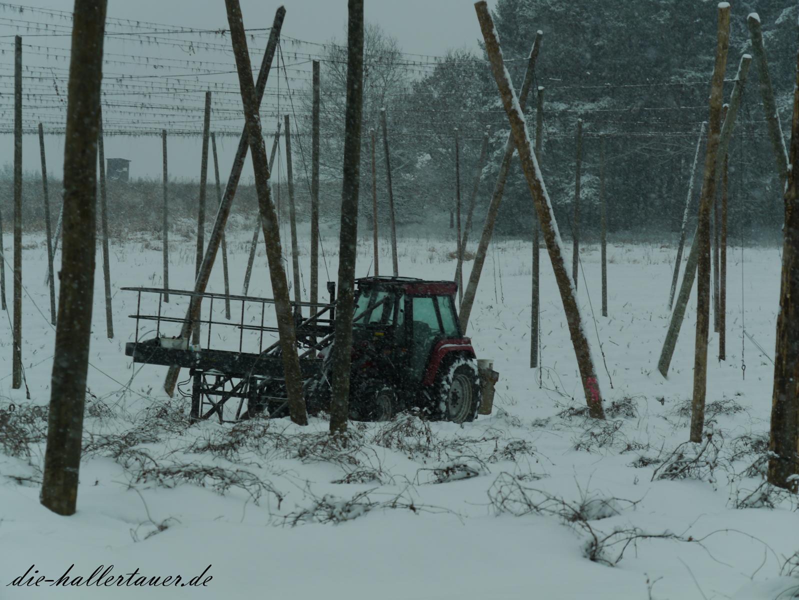Winter Hopfenbauern