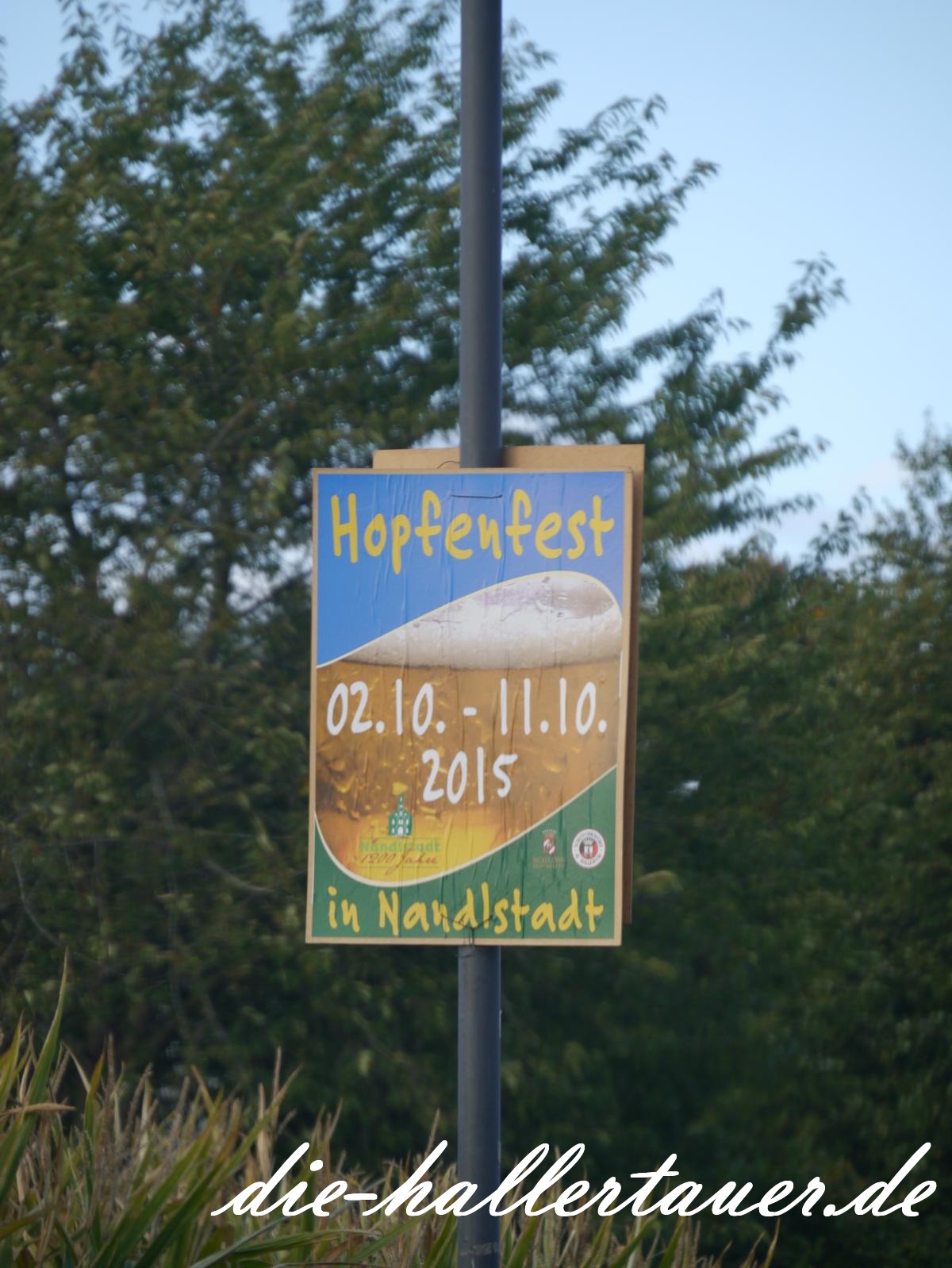 Hopfenfest Nandlstadt