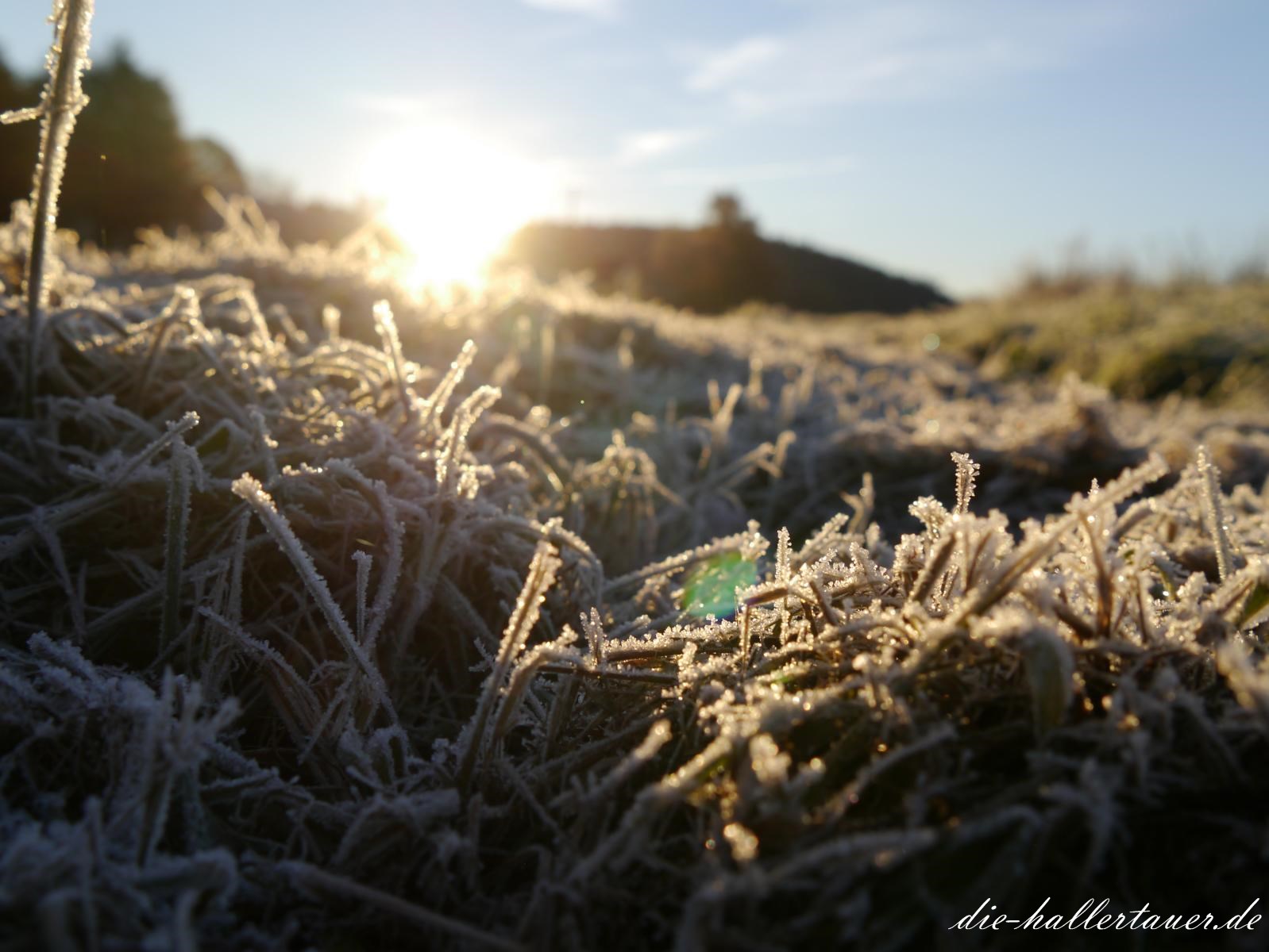 Frostige Sonne
